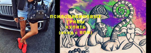 дживик Нея