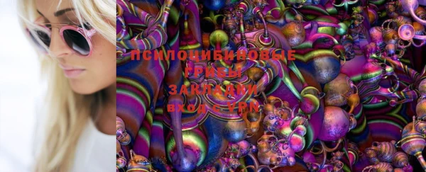 дживик Нея