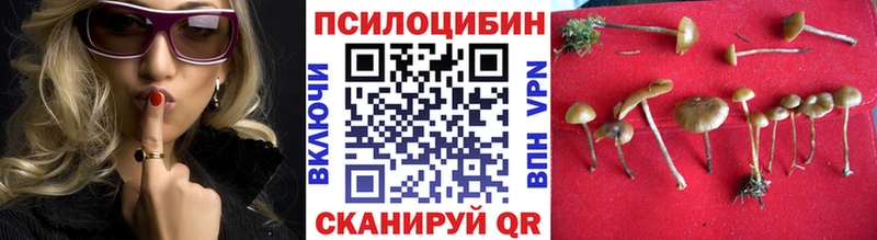 Галлюциногенные грибы ЛСД  Приозерск 
