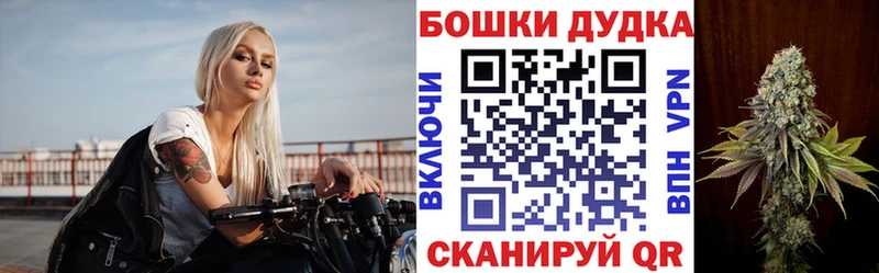 наркотики  Приозерск  Бошки марихуана индика 